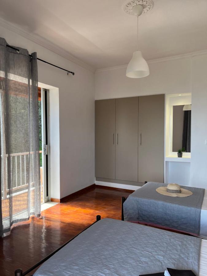 Ilias Apartments Dassia By Hotelius מראה חיצוני תמונה